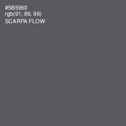 #5B5960 - Scarpa Flow Color Image